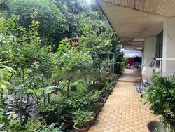 Henry Park (D10), Detached #498599071